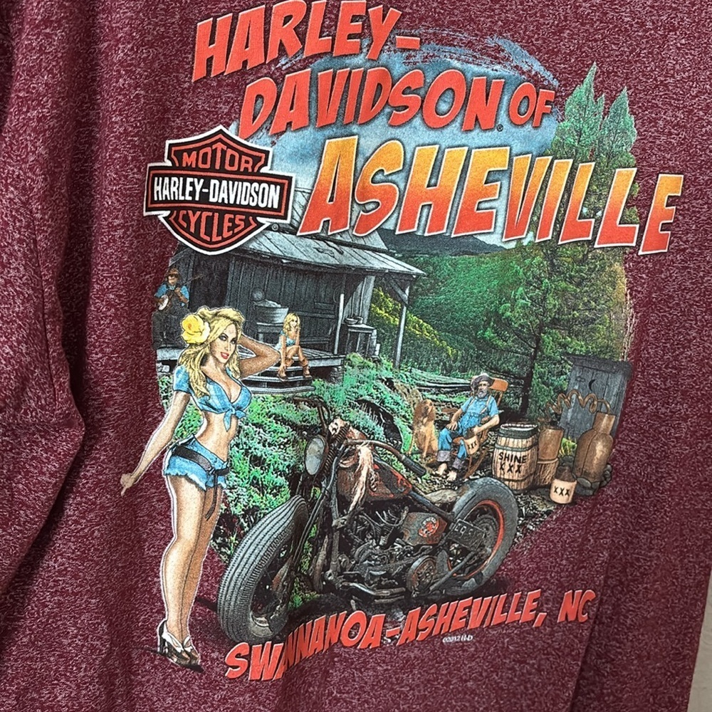 Harley Davidson Motorcycles Asheville, North Carolina TShirt, XL - Picture 1 of 6